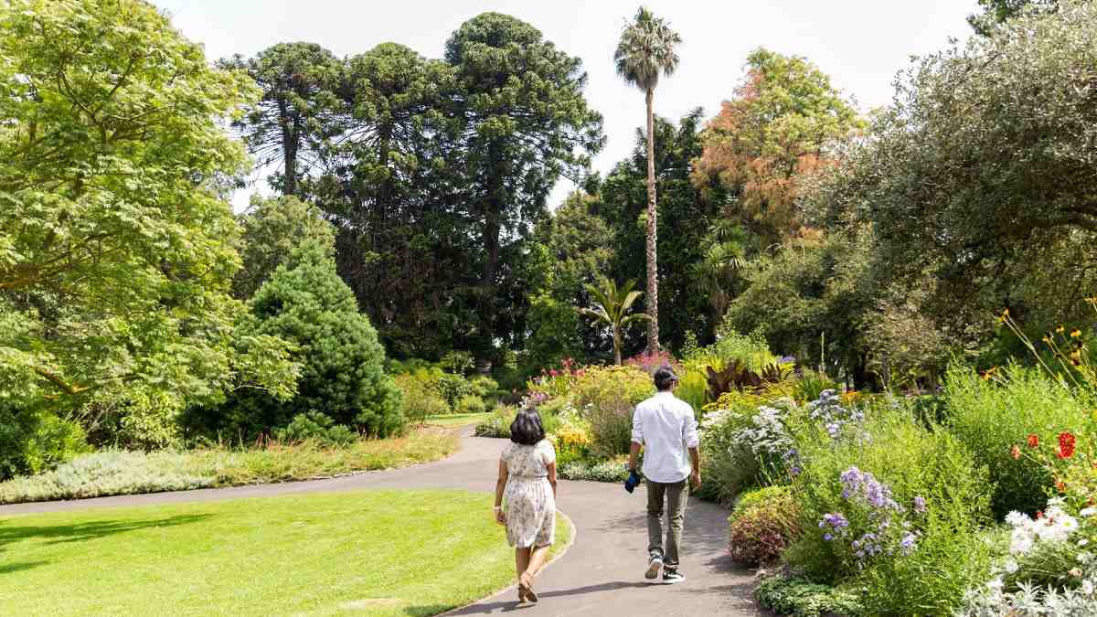 woman and man strolling on path in botanic gardens