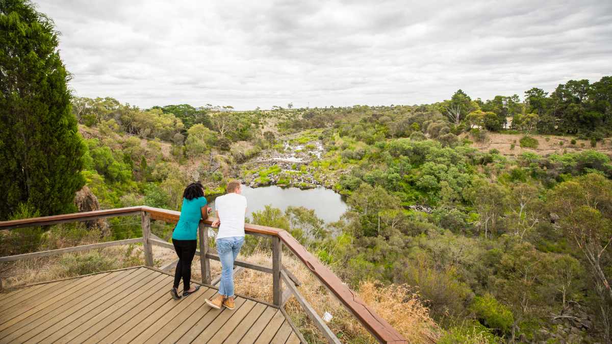 woman and man leaning on lookout railing near forest and pond