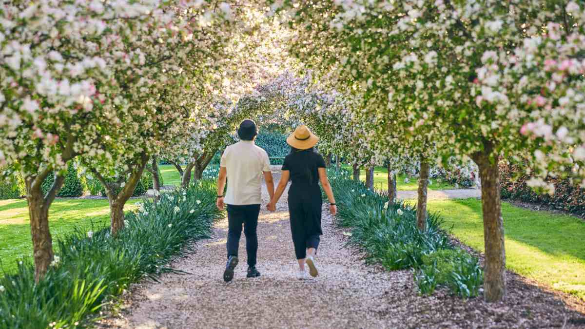 couple walking hand in hand on gravel garden path under blossoming trees