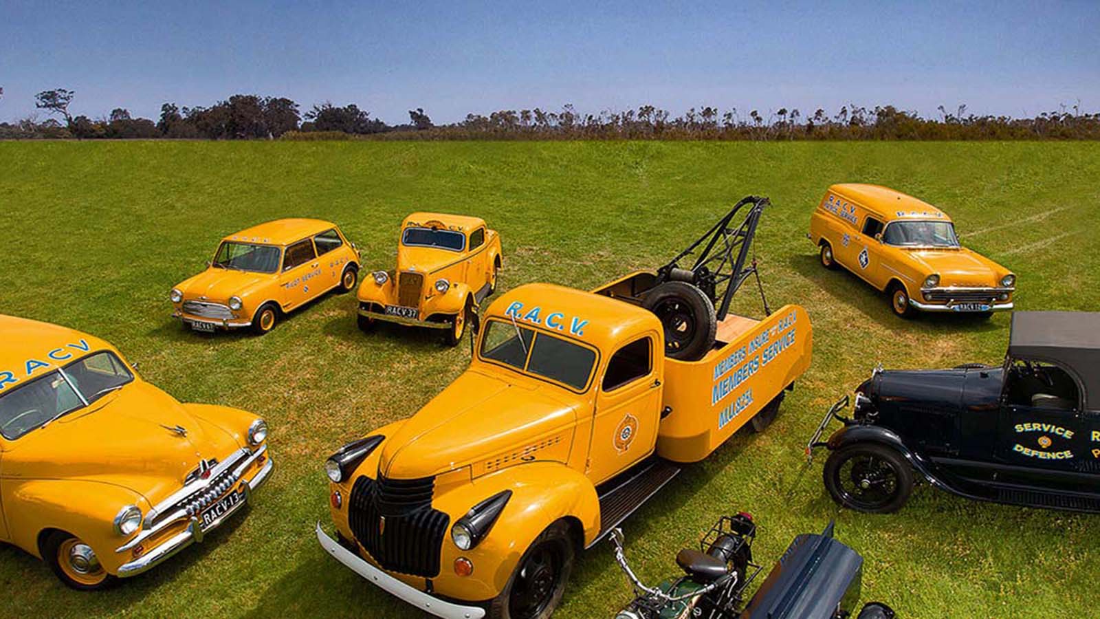 RACV fleet of various roadside assistance vehicles parked on a field.
