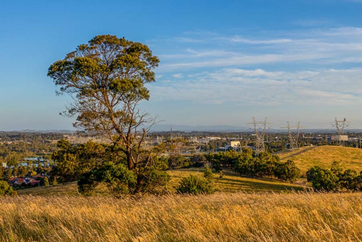 Melbourne suburb grasslands