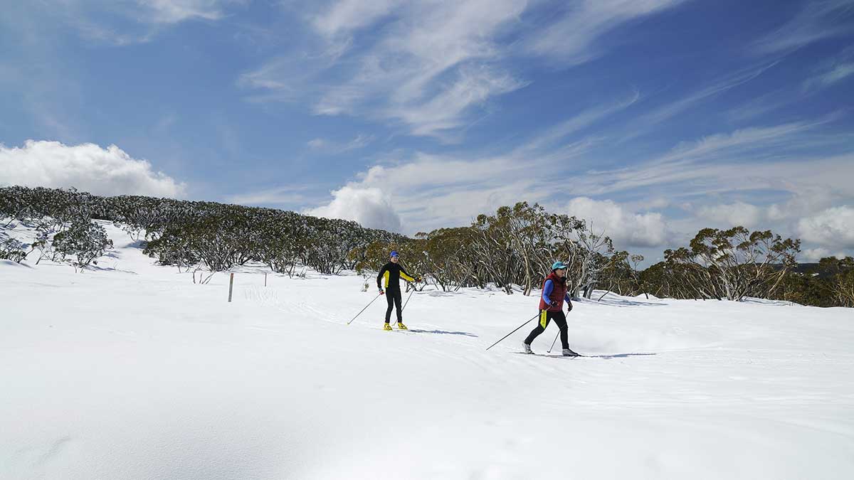 Mt Baw Baw