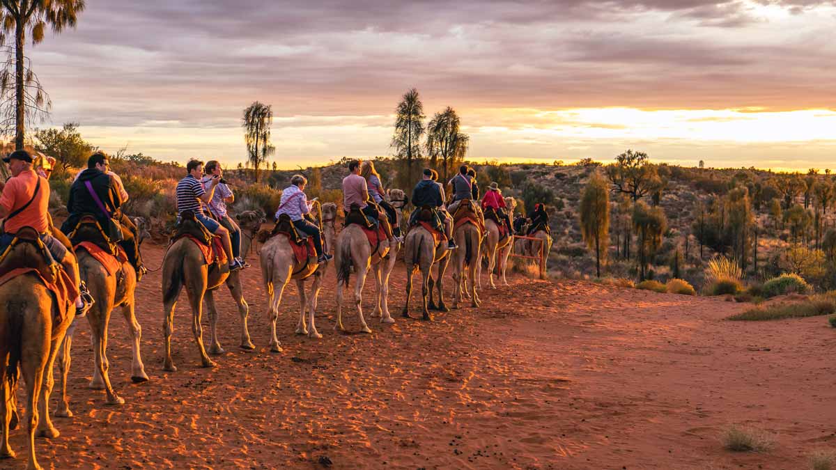 People riding camels