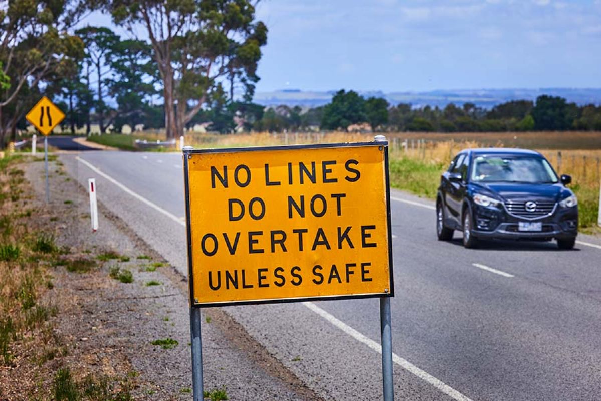 Kangaroos crossing a road