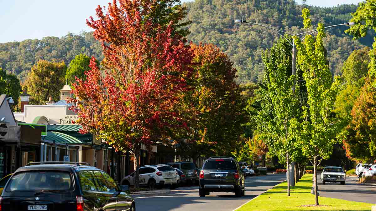 Streetscape in Bright with autumn leaves and mountains