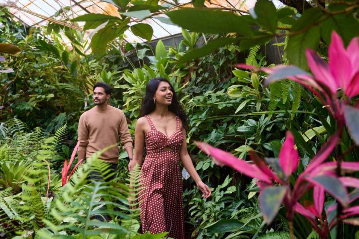A man and a woman walking through a lush greenhouse at the Royal Botanic Gardens Melbourne
