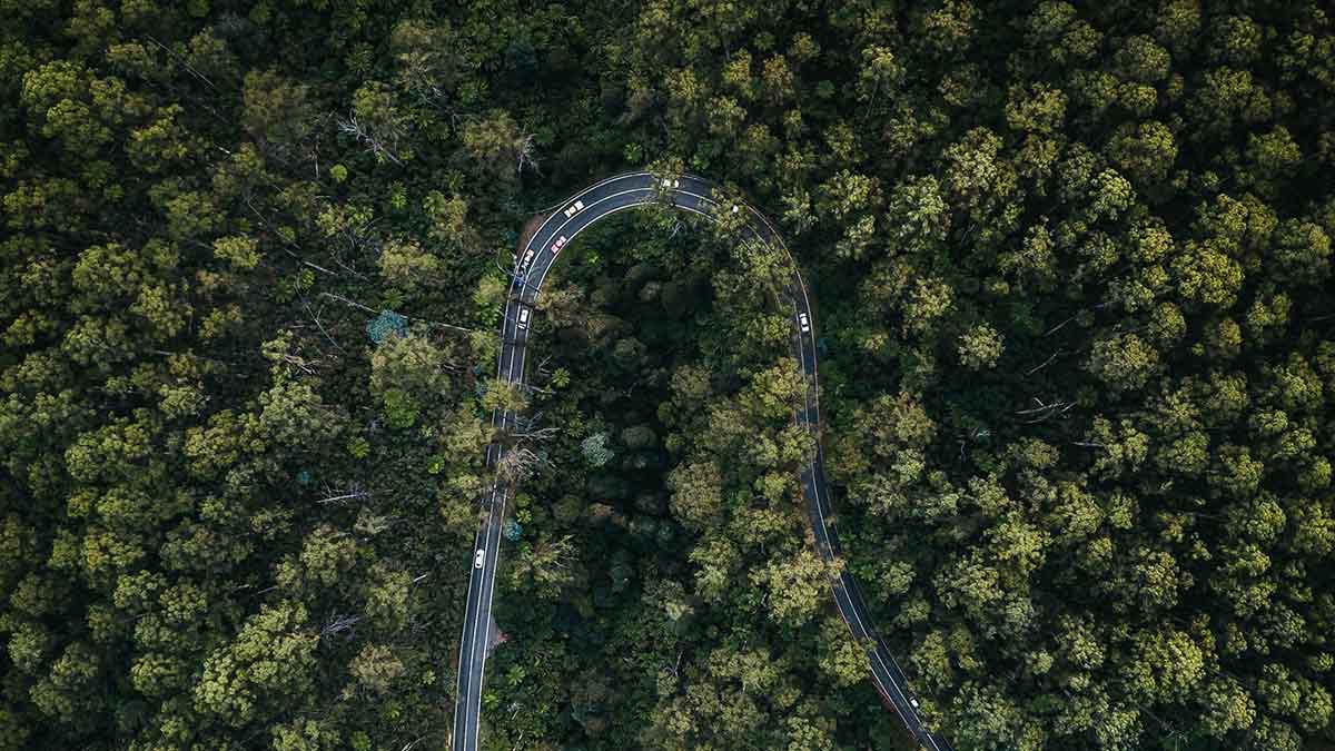 Aerial view of winding Black Spur road with hairpin bend and forest canopy