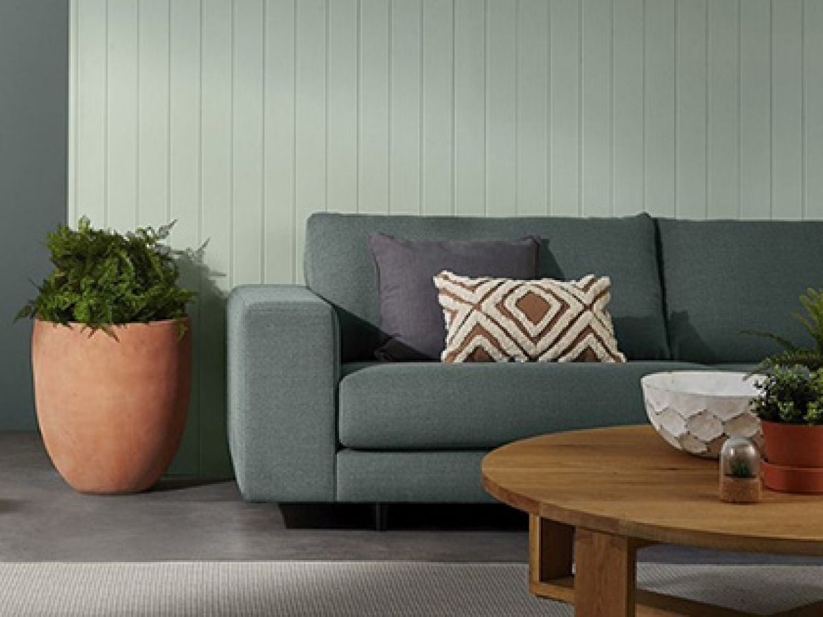 Couch and potted plant in front of a green painted walll.