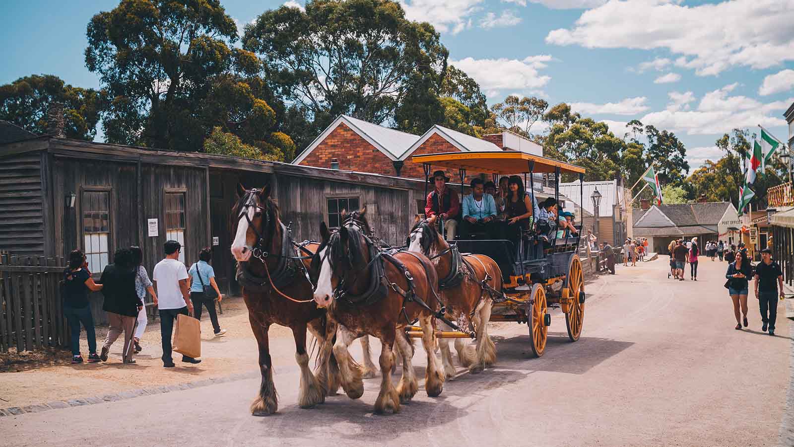 Four brown horses pulling a carriage of people at Sovereign Hill.