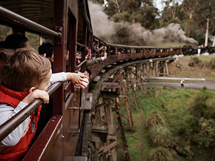 Child looking out the window while riding Puffing Billy, watching the train go around the bend.