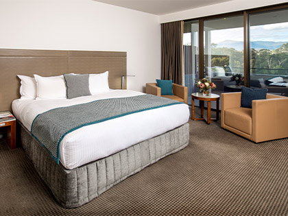 Healesville bedroom, overlooking Mt Riddell.