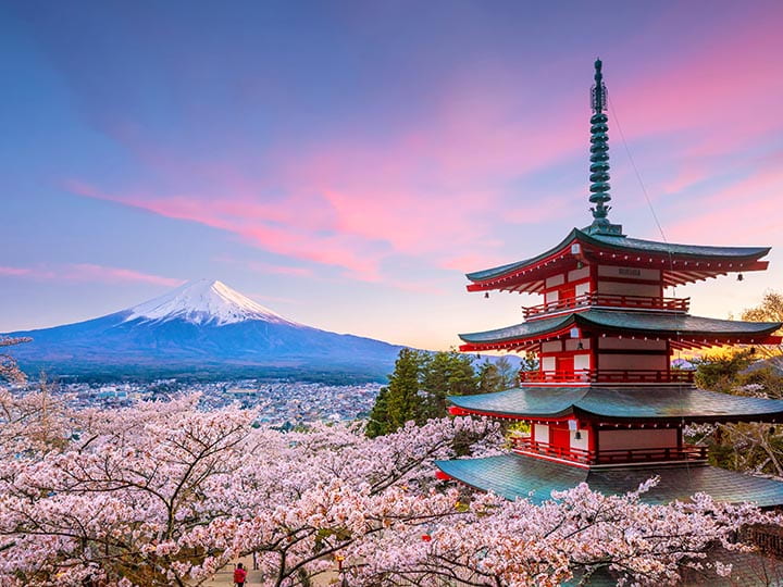 Mount Fuji and Chureito red pagoda with cherry blossom sakura at sunset.