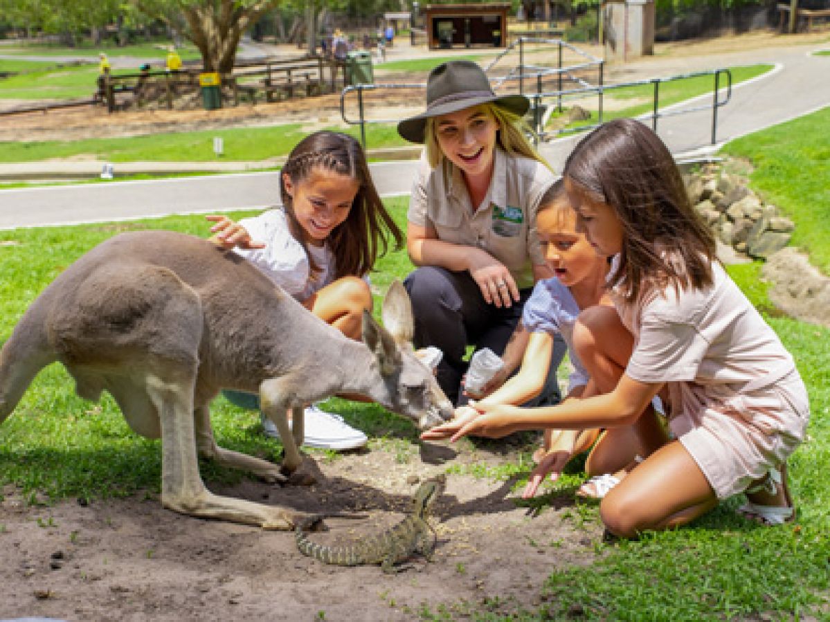 Kids feeding a Kangaroo with a Currumbin staff member