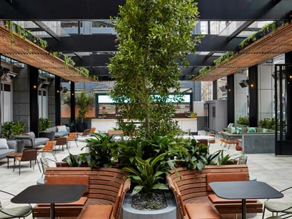 The Bourke Street Green courtyard and bar.