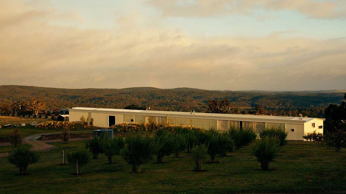 1200x675-The-Longhouse