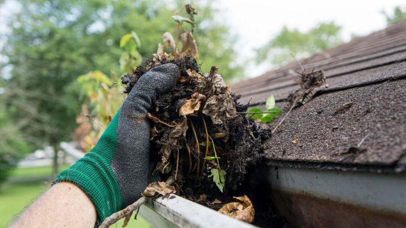 Why You Should Clean Your Gutters Regularly | RACV