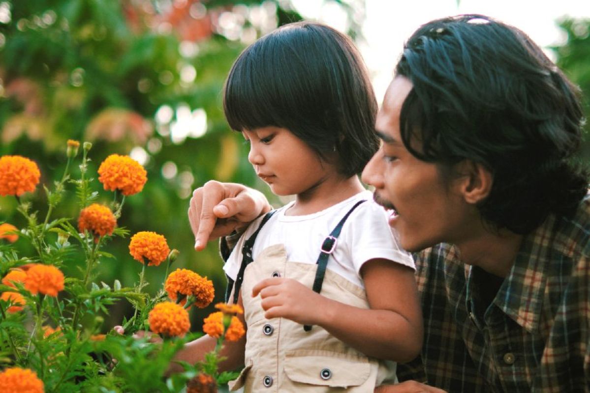 A father and young son admiring golden marigolds in a garden