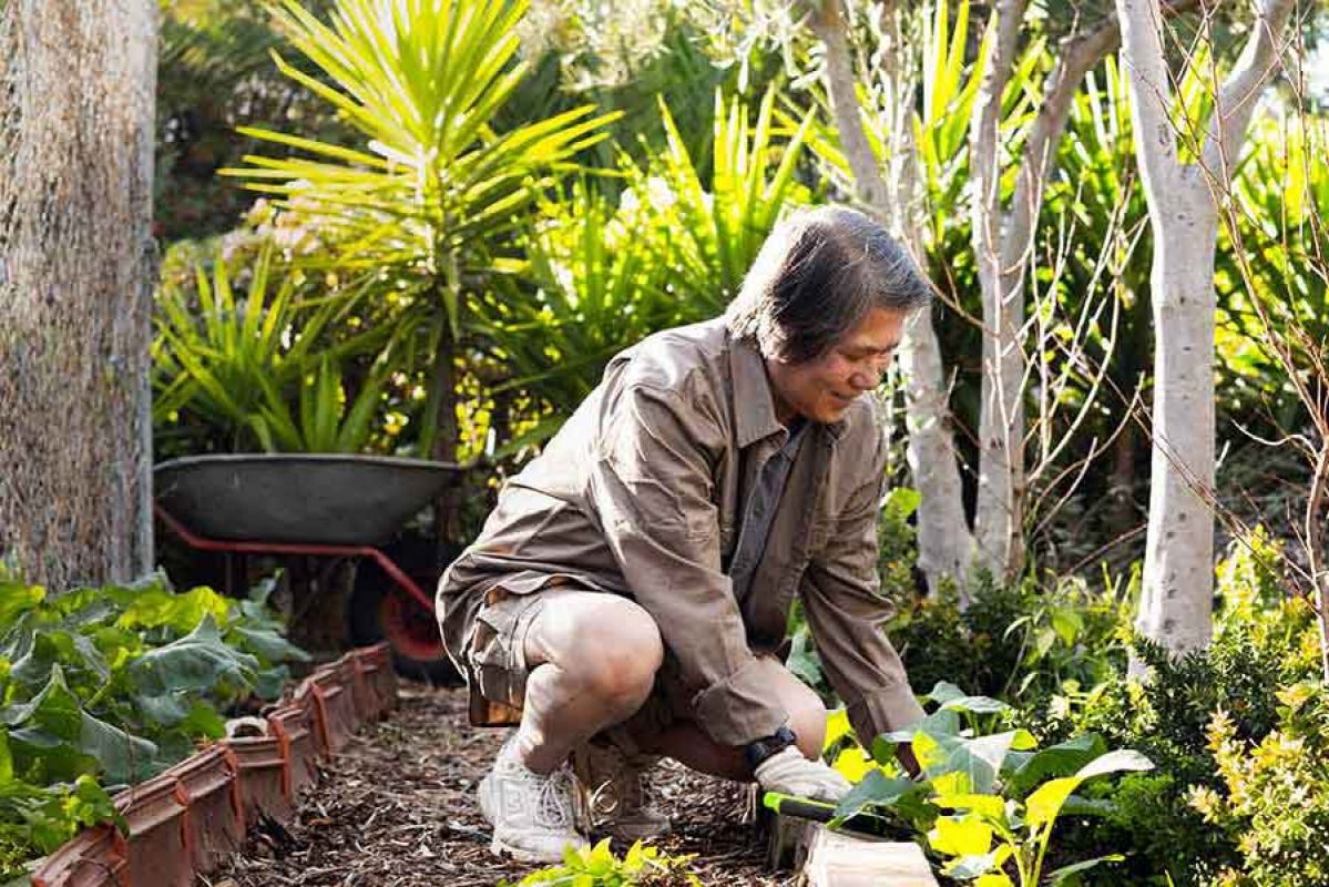 Woman mulching in her garden