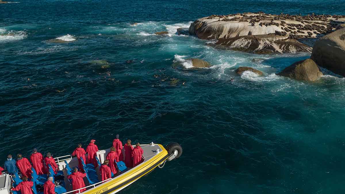 A coastal adventure to spot the fur seals, Wilsons Promontory. Image: Supplied