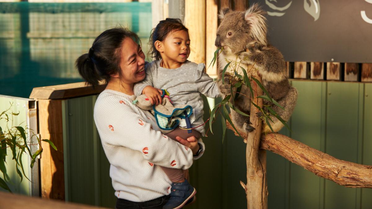 woman and child with koala