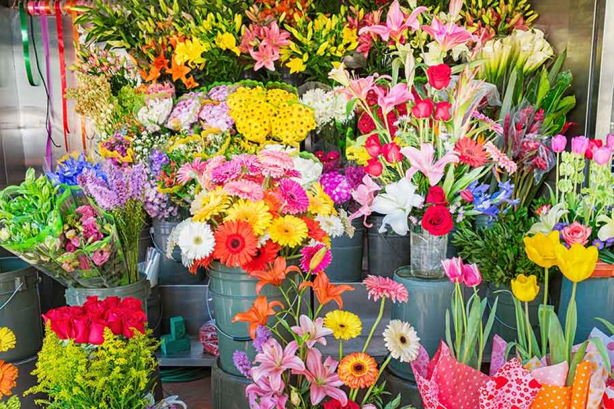 bouquets of colourful flowers