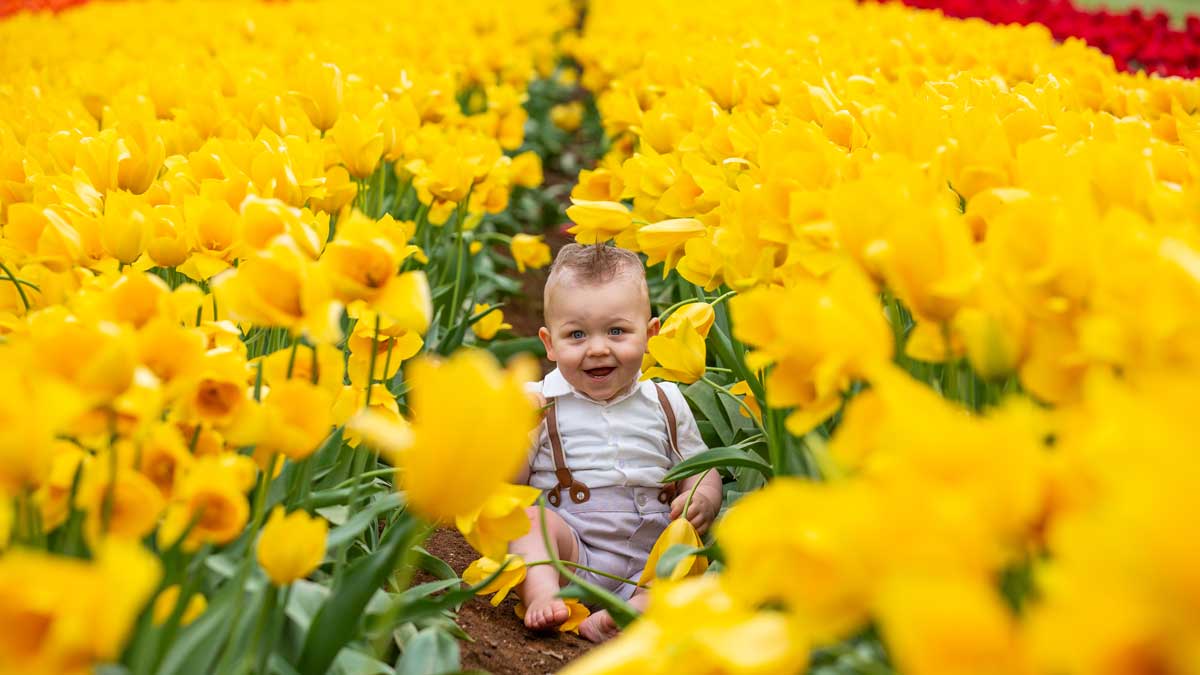 baby in flowers at KaBloom