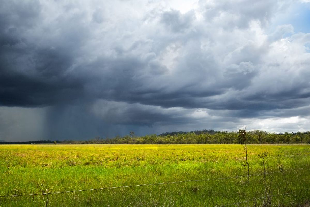 thunderstorm brewing over a grass field