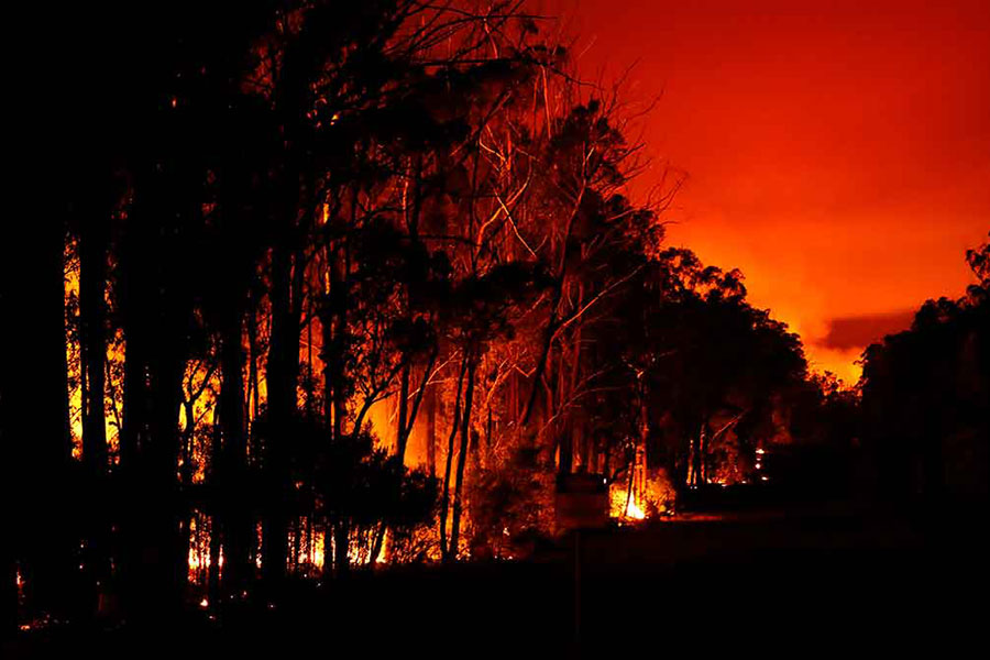 Living with fire: John's bushfire story | RACV