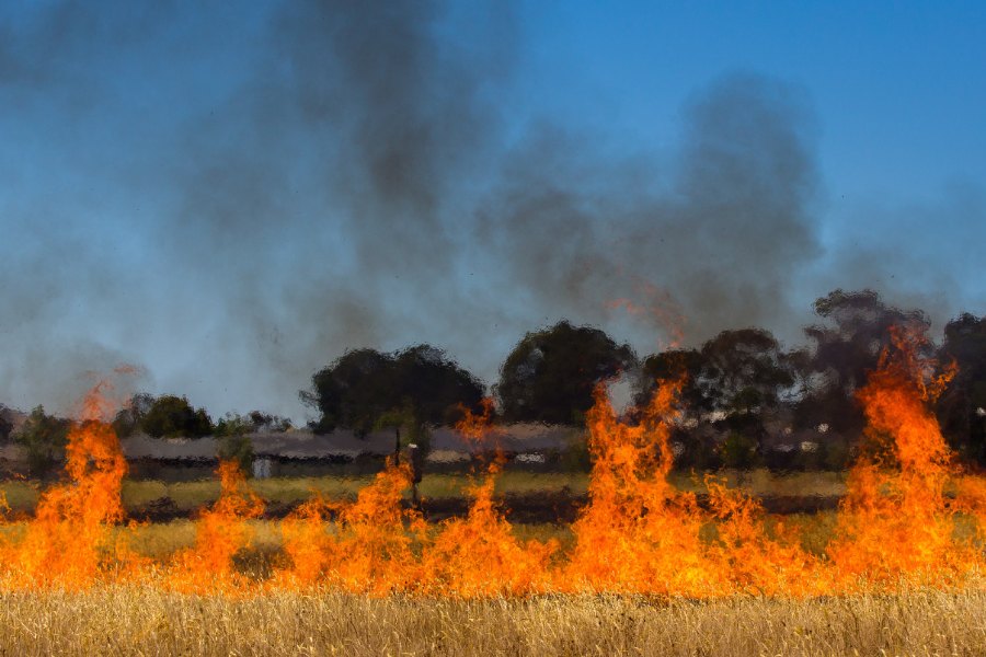 What you need to know about total fire bans this summer RACV