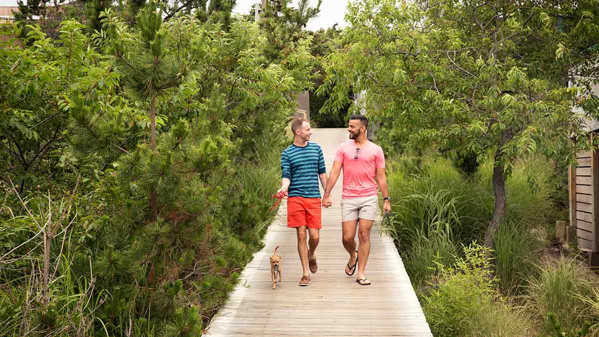 two people walking dogs