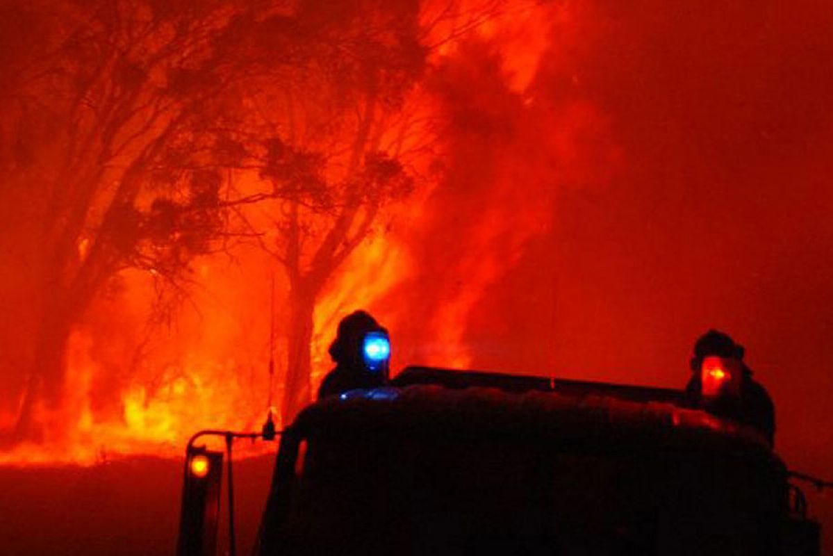 Bushfire ravages through the countryside.