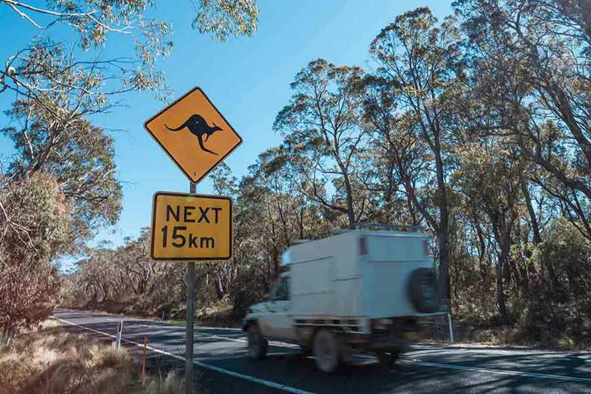 Wildlife on road sign