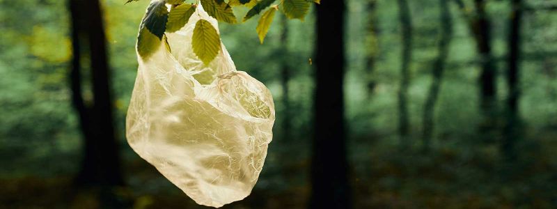 How to adapt to the ban on plastic bags - Ricova