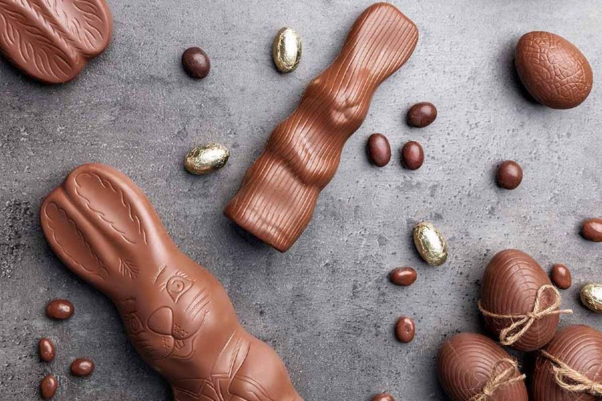 Selection of Easter eggs and bunnies on concrete background