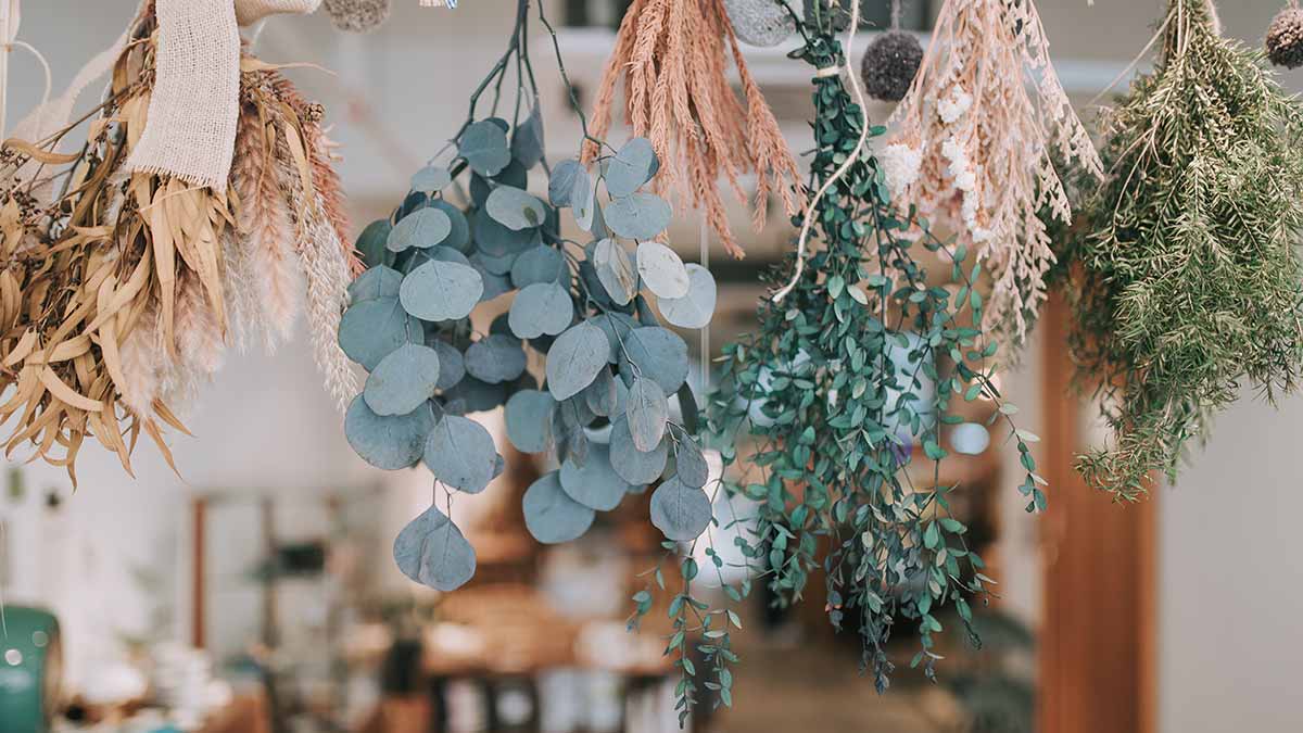 dried flowers hanging