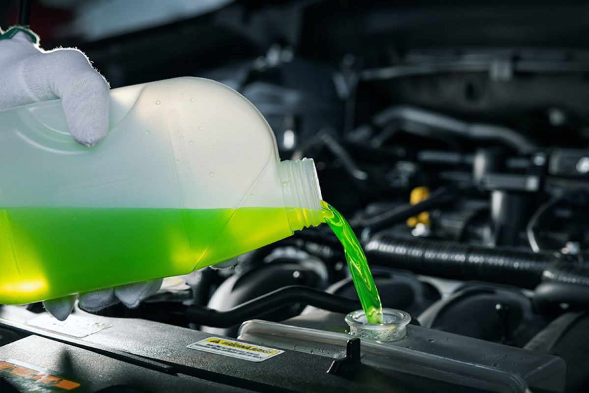 person pouring coolant into car's engine