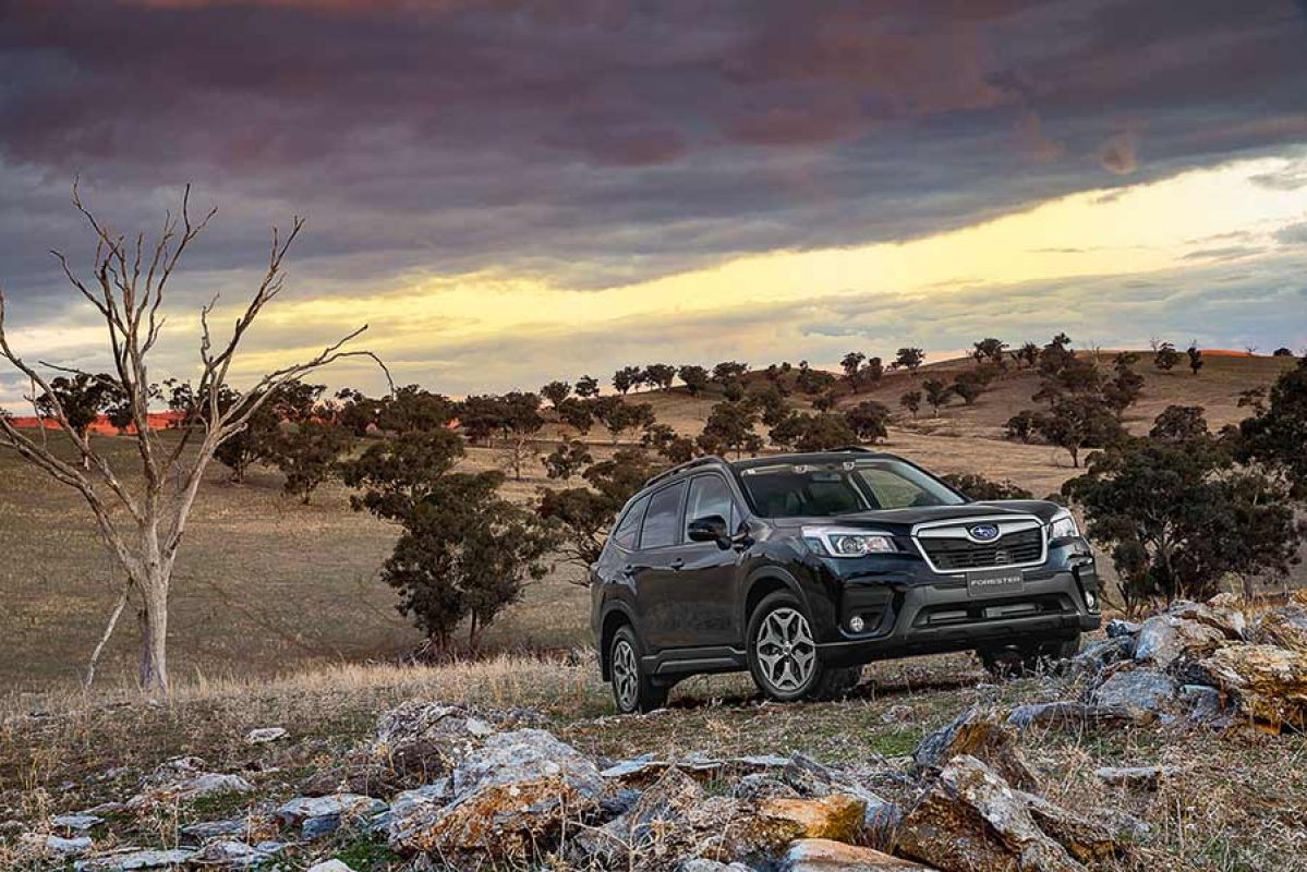 Front side view of a black Subaru Forester driving up a grassy hill in a paddock