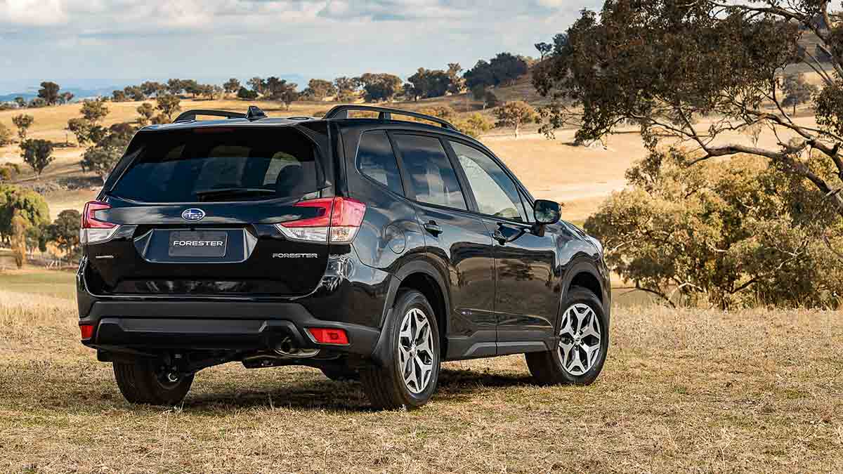 Rear side view of a black Subaru Forester parked on a grassy hill in a paddock