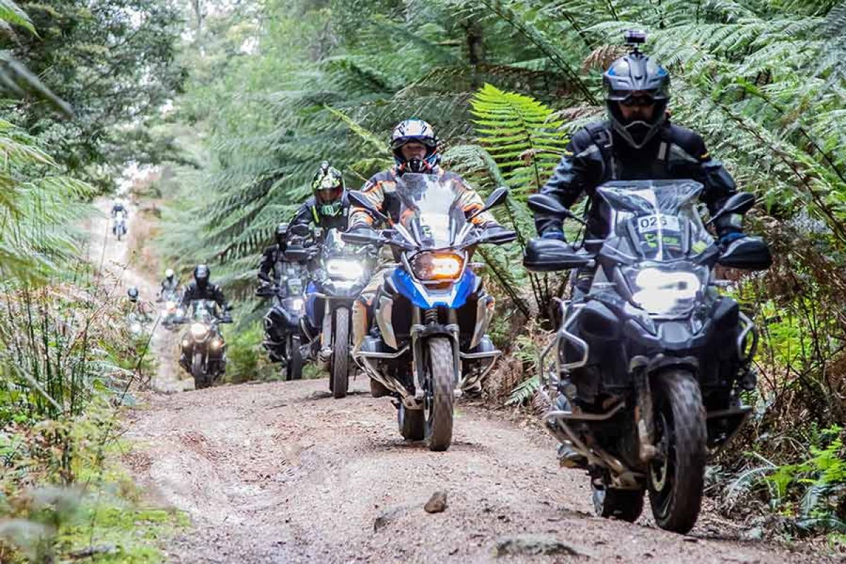 BMW GS riders negotiatea track in the Australian bush