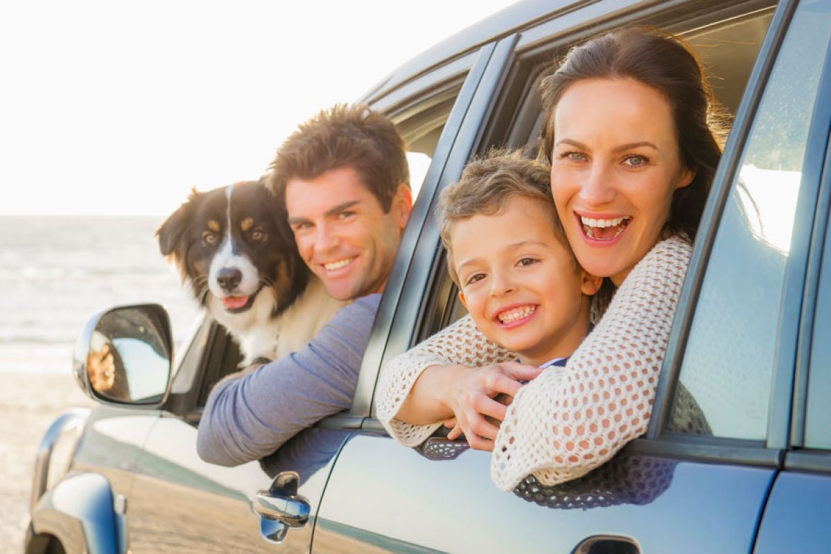 family and dog in the car