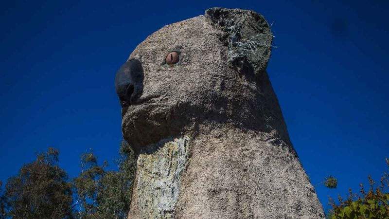 The Big Koala. Image: Getty. 