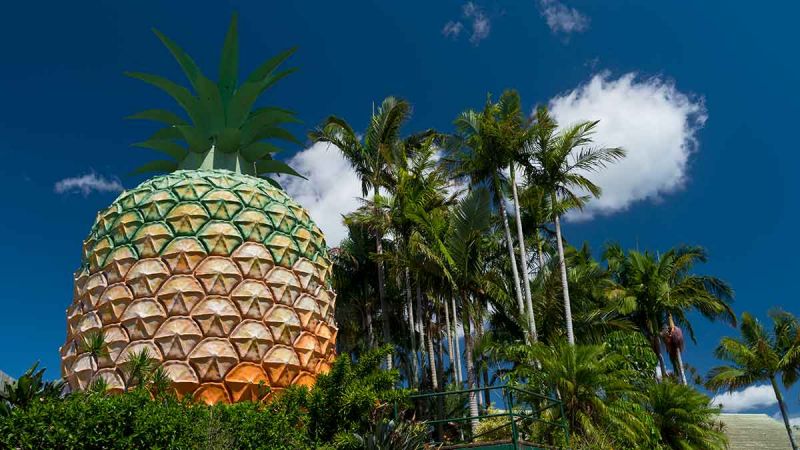 The Big Pineapple. Image: Getty. 