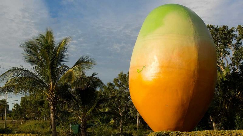 The Big Mango looks good enough to eat! Image: Getty.