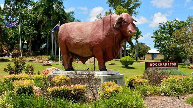 The Big Bull Rockhampton. Image: Alamy. 