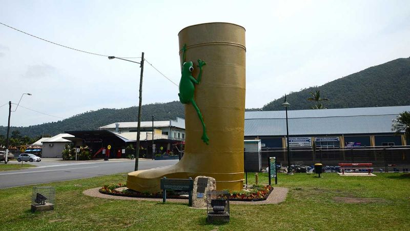 Golden Gumboot. Image: Alamy