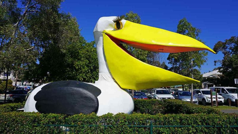 The Big Pelican Image: Alamy. 