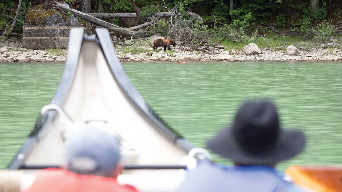 person on a boat looking at a bear across a lake