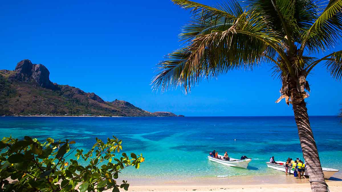 tropical island with canoes 