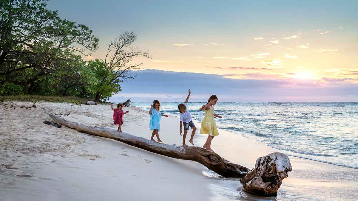 four kids balancing on a branch