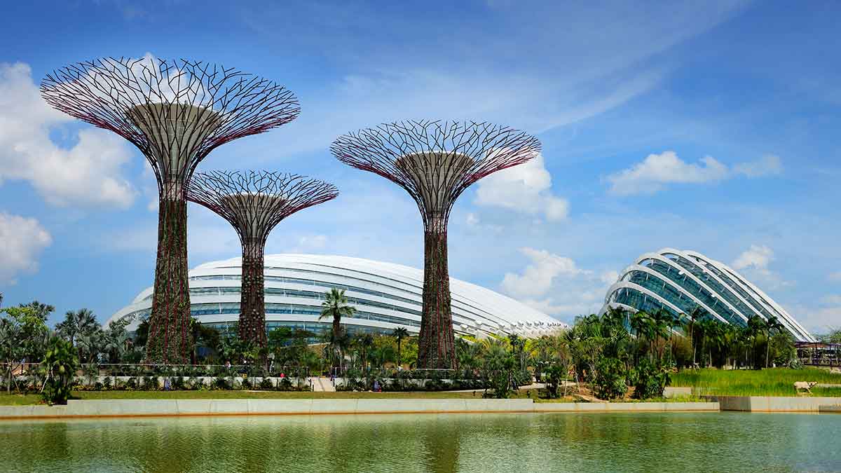 Gardens by the Bay, Supertrees and Conservatorie